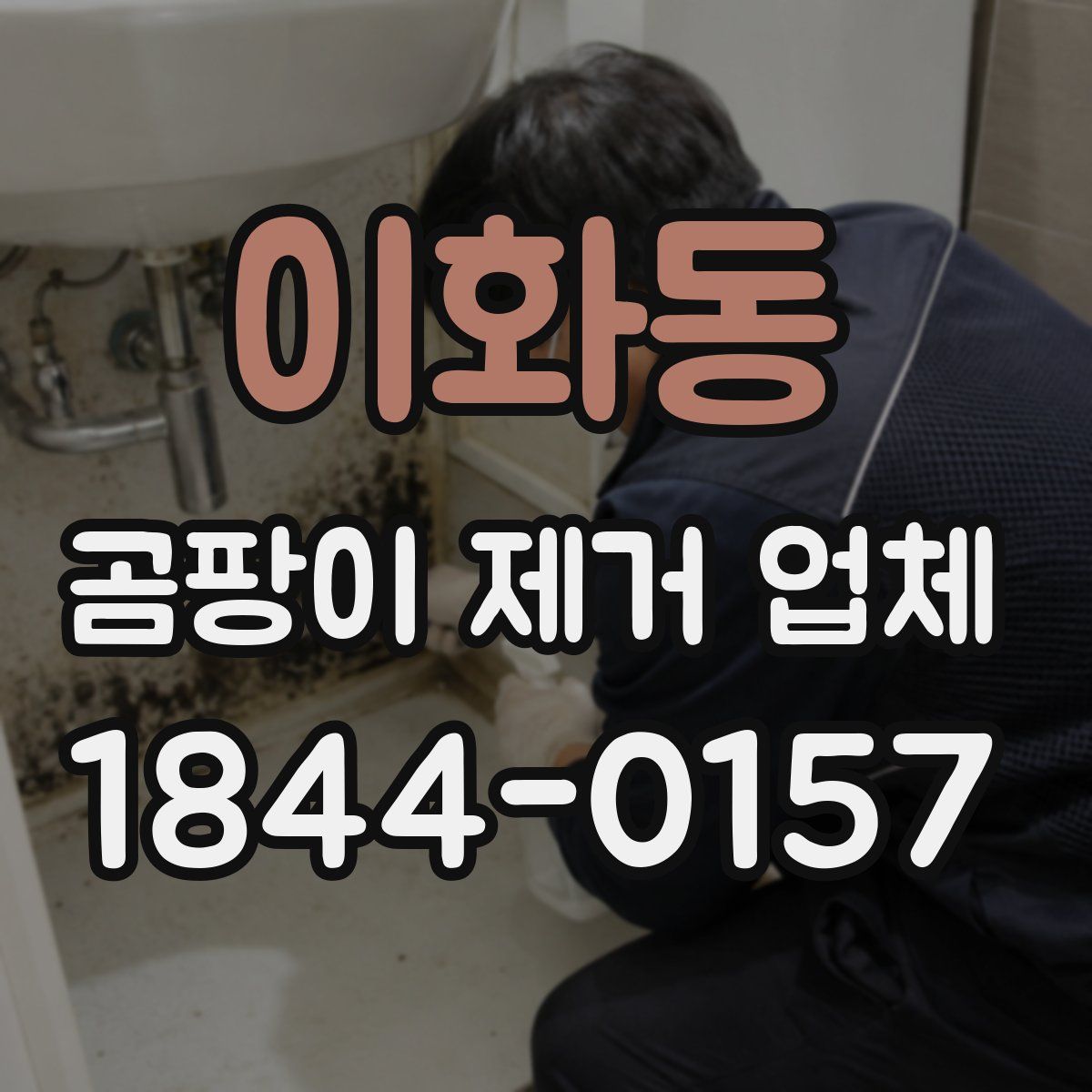 이화동 곰팡이 제거 업체