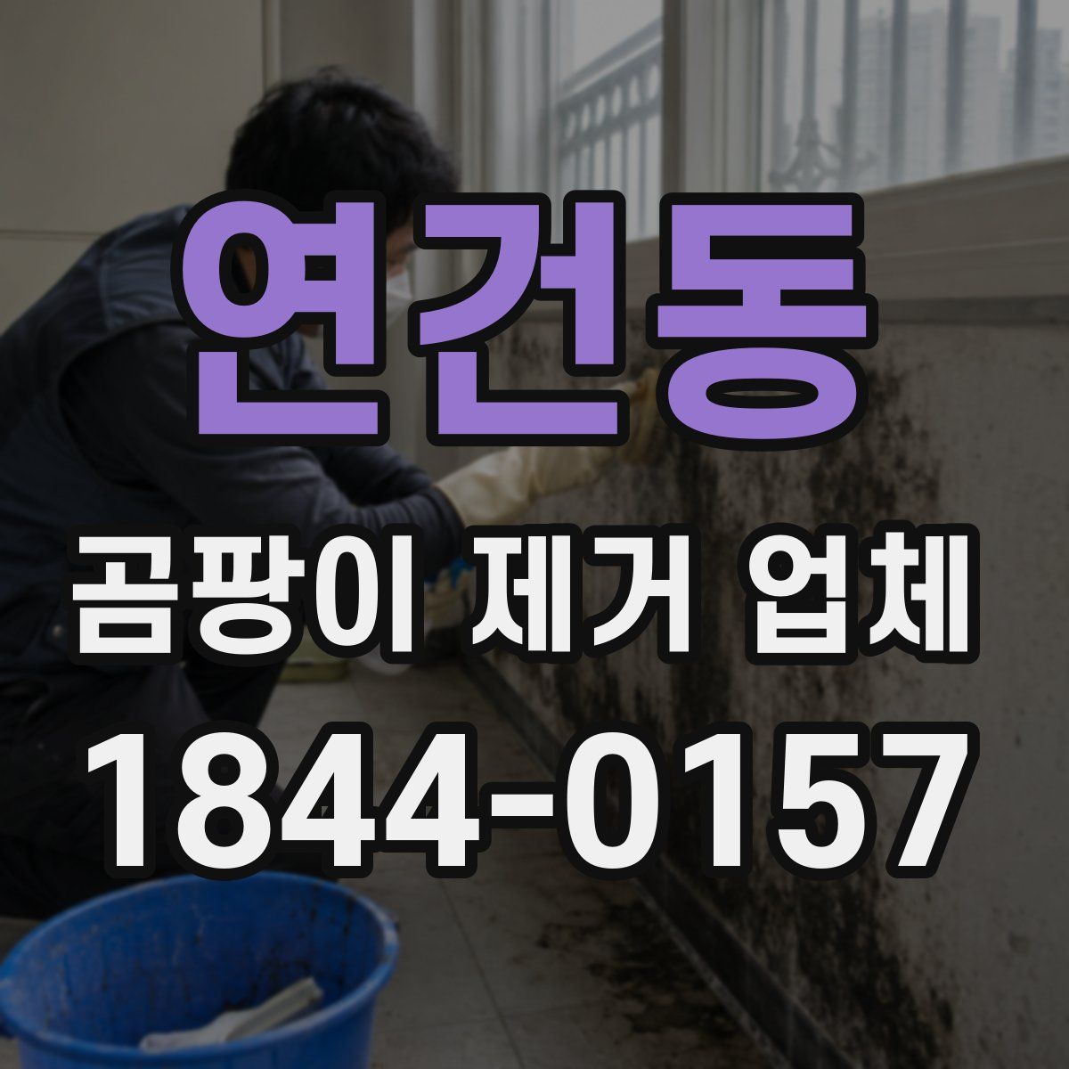 연건동 곰팡이 제거 업체