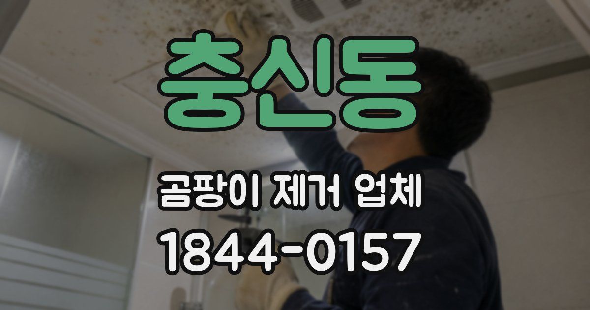 충신동 곰팡이 제거 업체