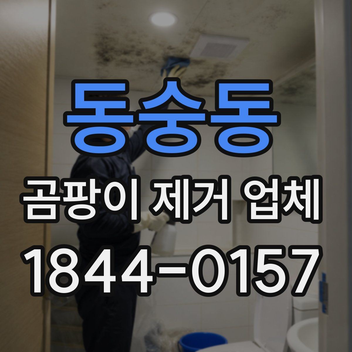 동숭동 곰팡이 제거 업체 표면 정리와 전문 제거의 실제 차이