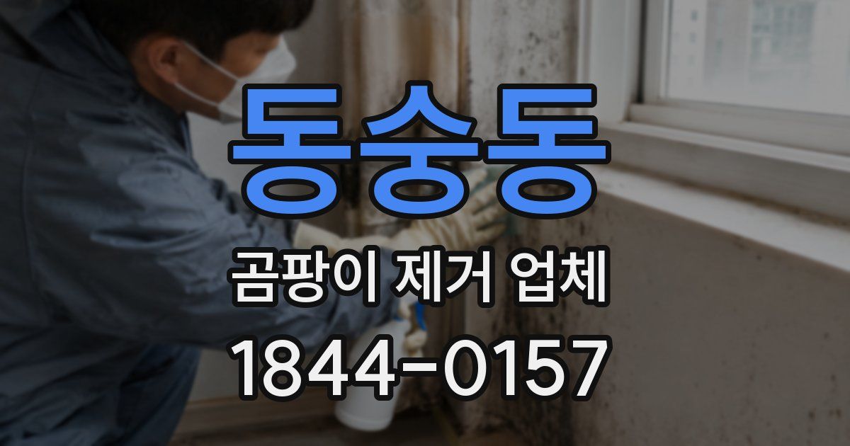 동숭동 곰팡이 제거 업체