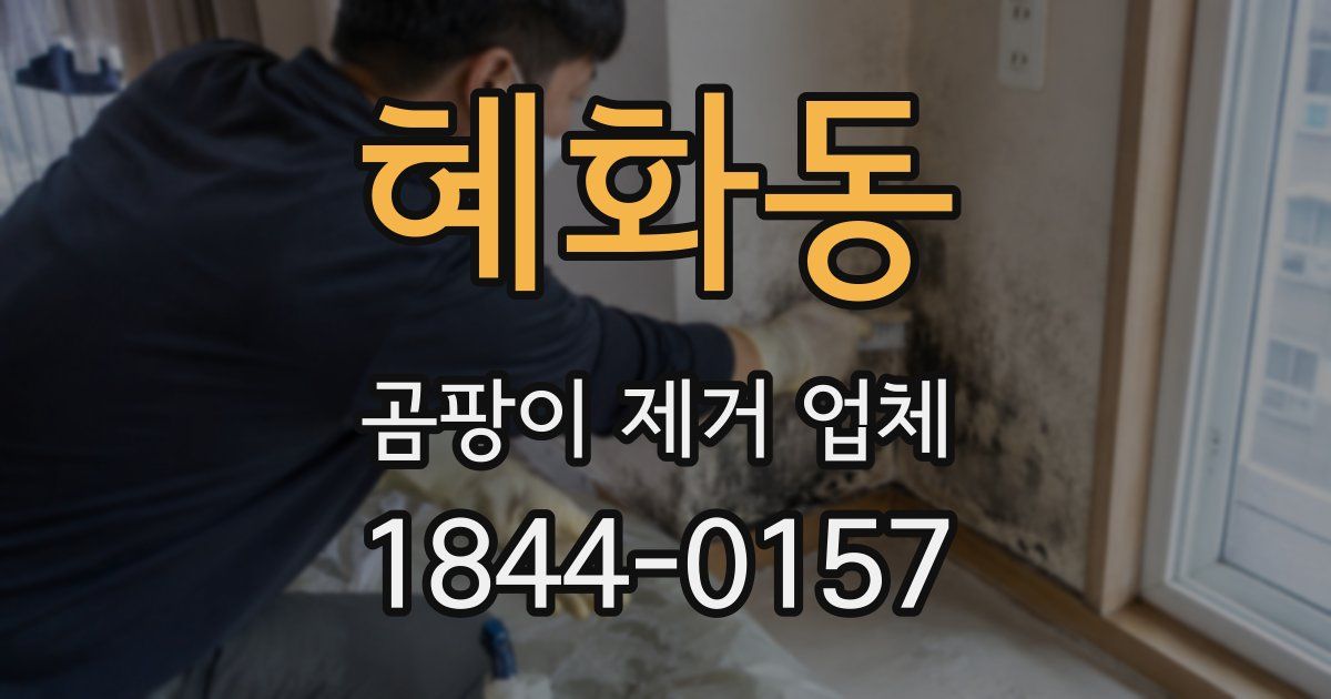 혜화동 곰팡이 제거 업체