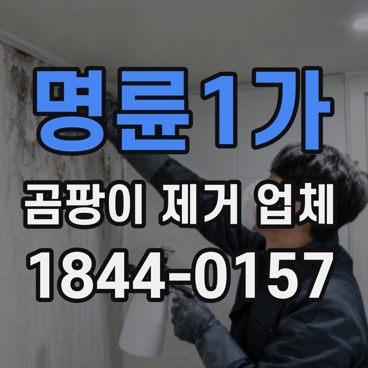 명륜1가 곰팡이 제거 업체