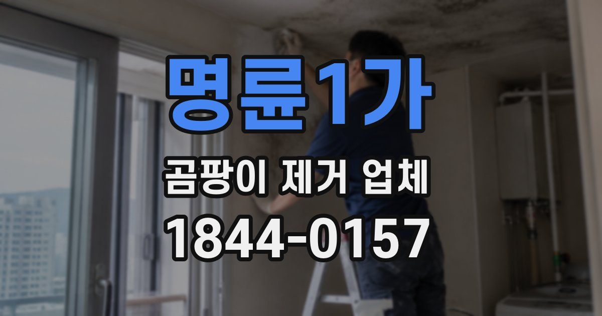 명륜1가 곰팡이 제거 업체