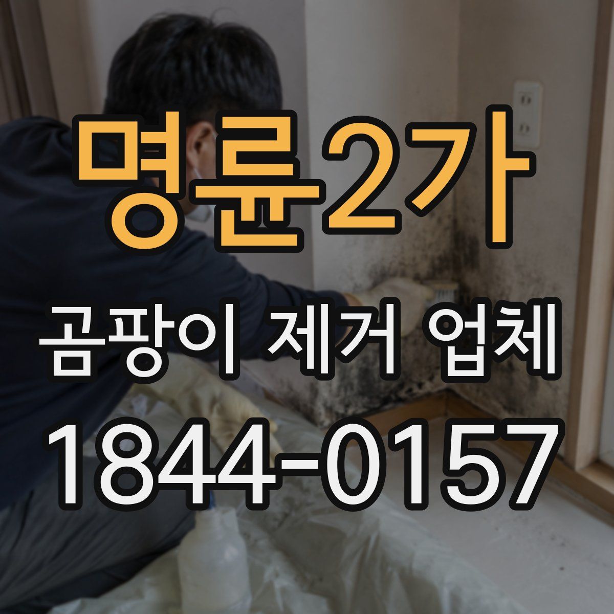 명륜2가 곰팡이 제거 업체
