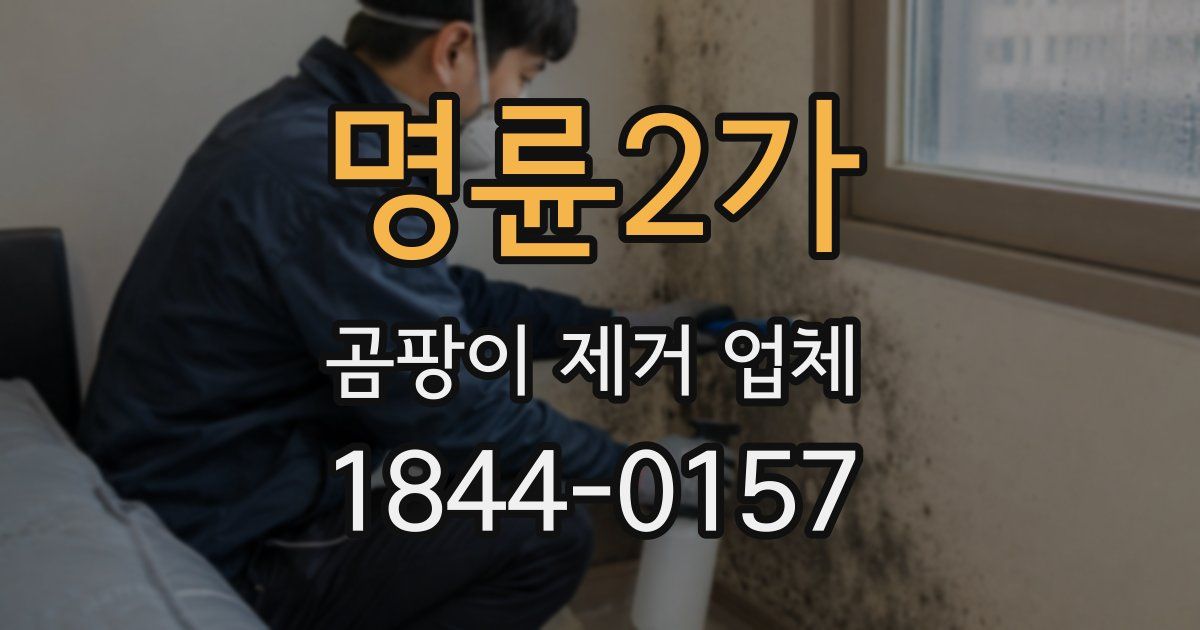 명륜2가 곰팡이 제거 업체