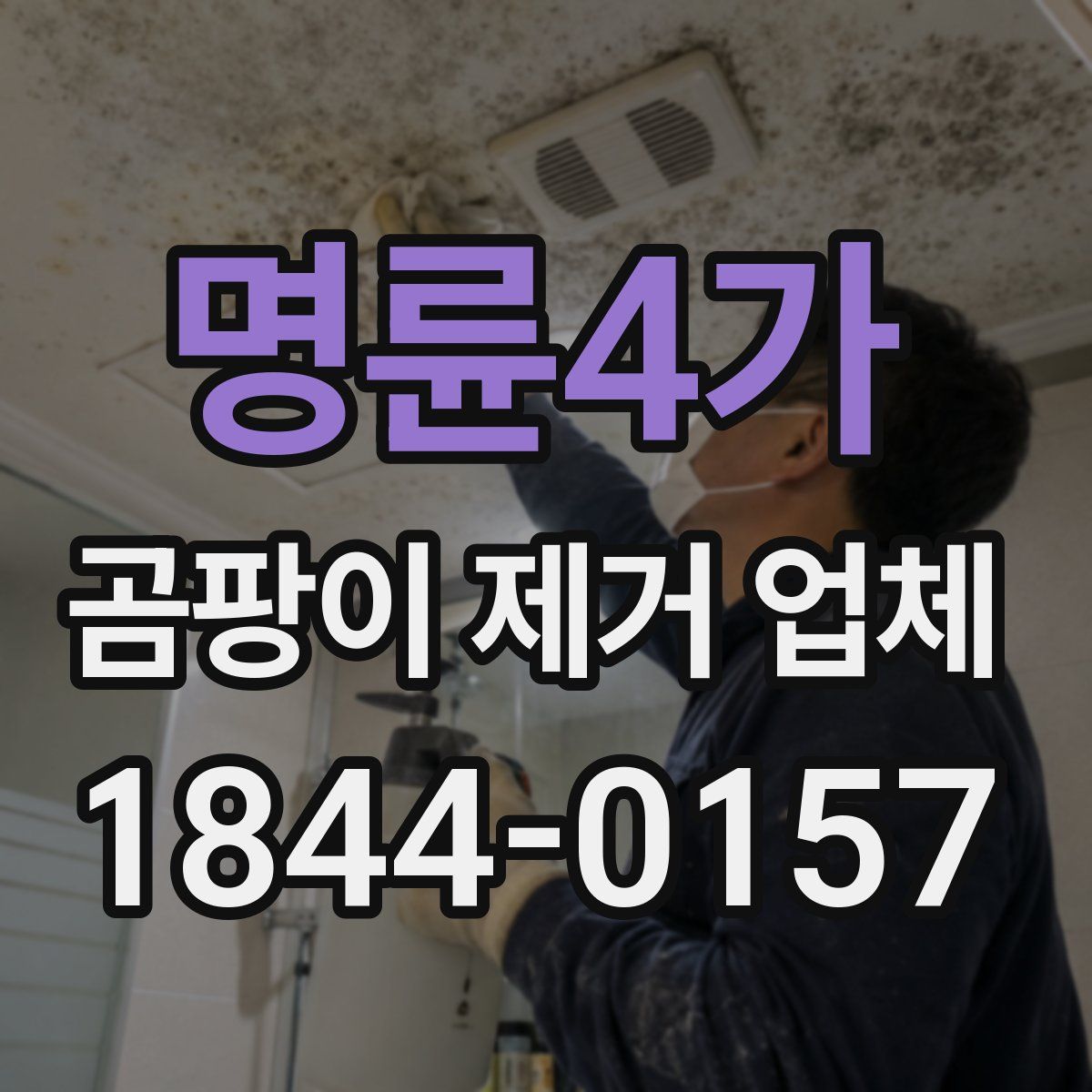 명륜4가 곰팡이 제거 업체
