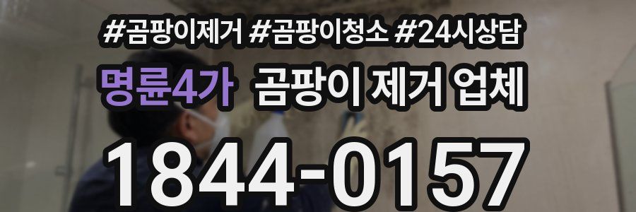 명륜4가 곰팡이 제거 업체