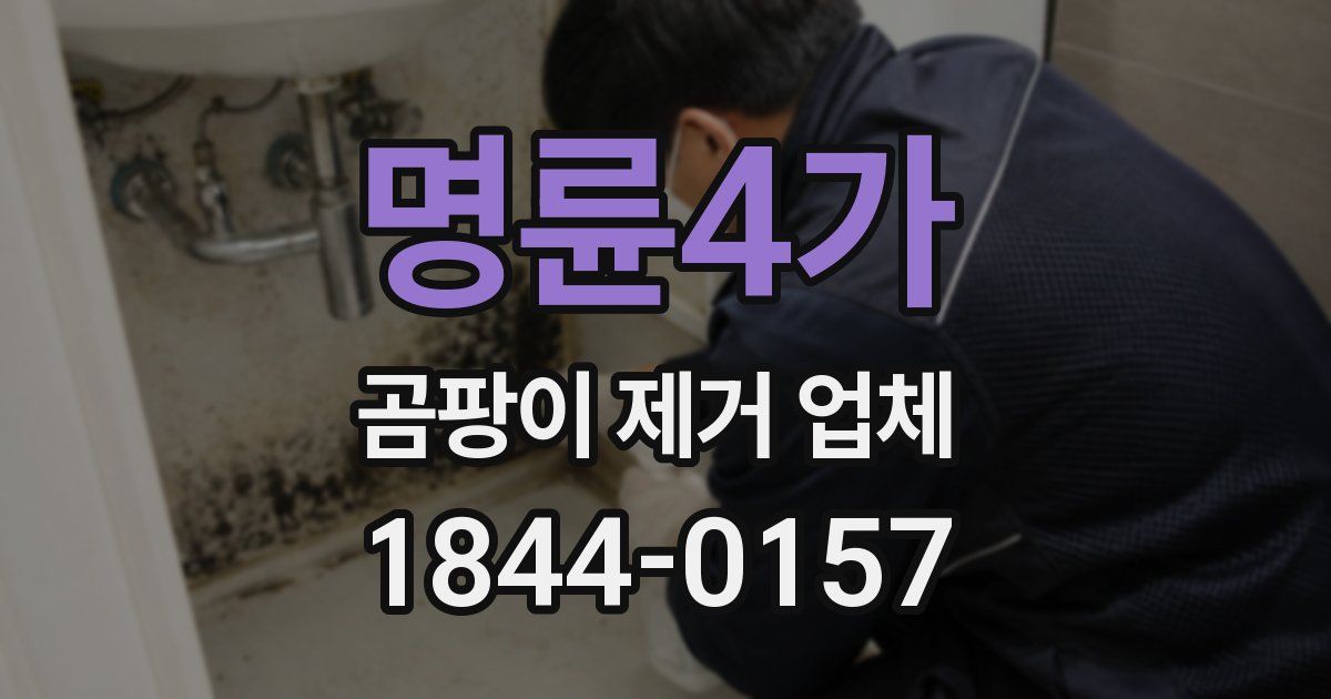 명륜4가 곰팡이 제거 업체
