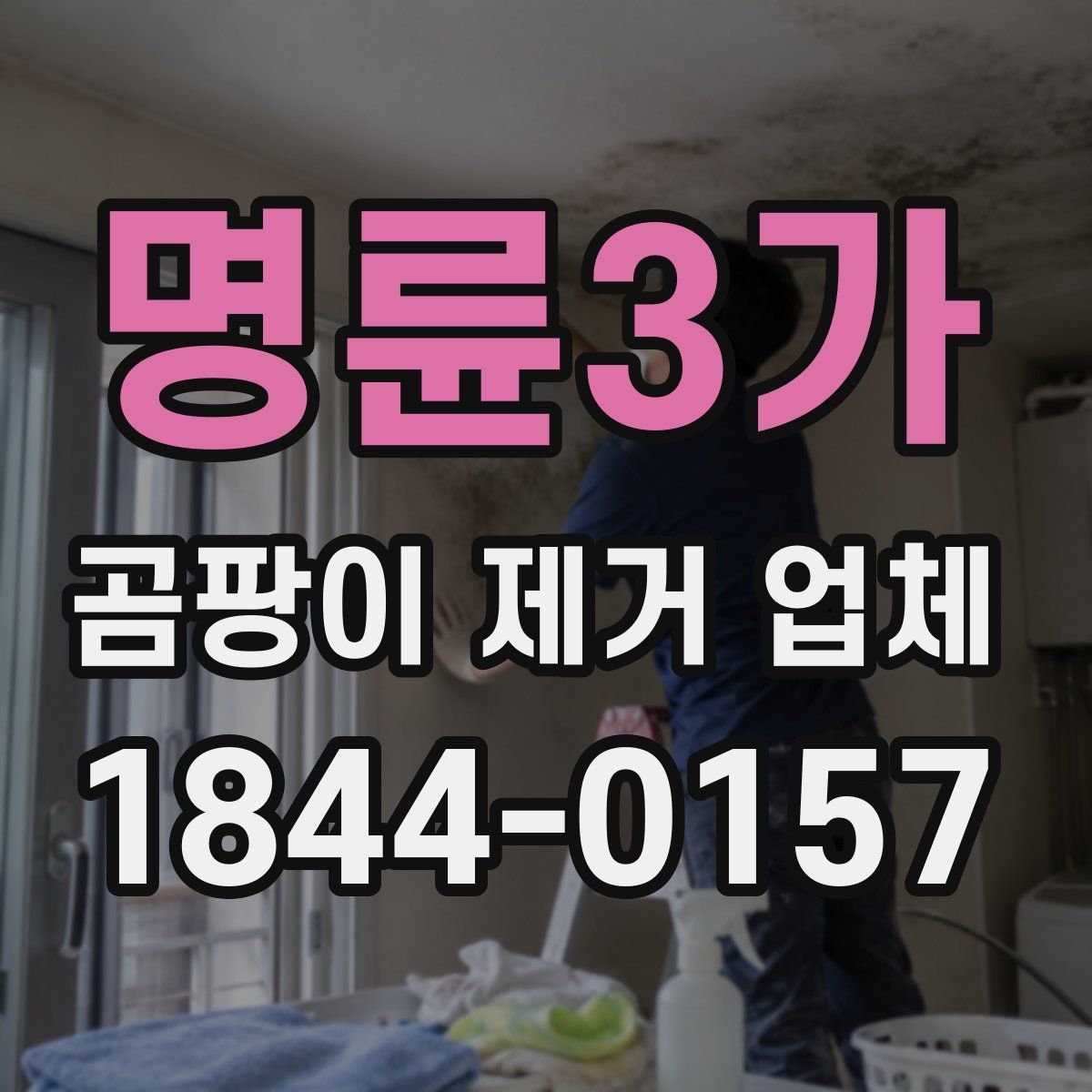 명륜3가 곰팡이 제거 업체
