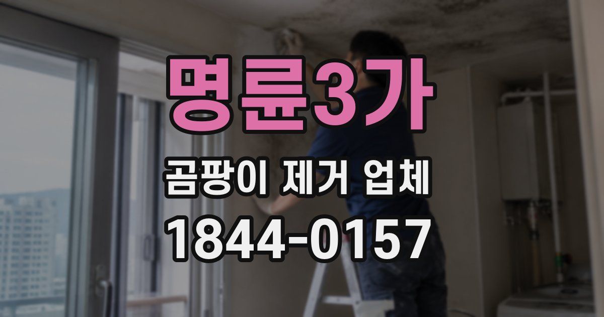 명륜3가 곰팡이 제거 업체