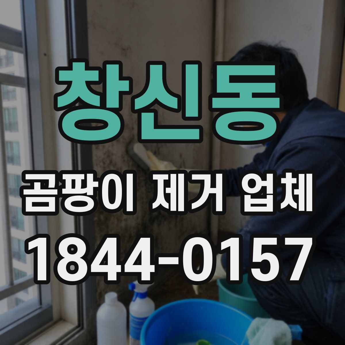 창신동 곰팡이 제거 업체