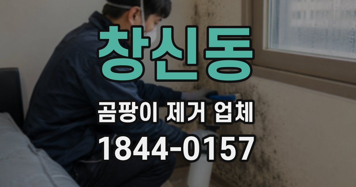 창신동 곰팡이 제거 업체