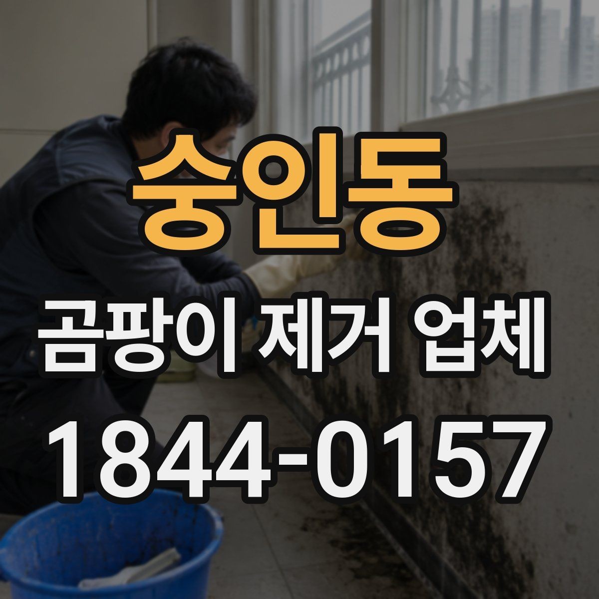 숭인동 곰팡이 제거 업체 곰팡이 색상별 오염 특징과 판단 기준