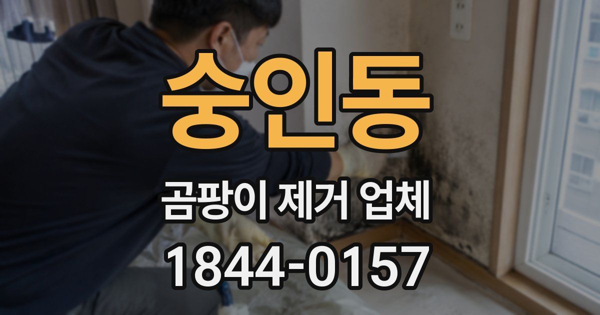 숭인동 곰팡이 제거 업체