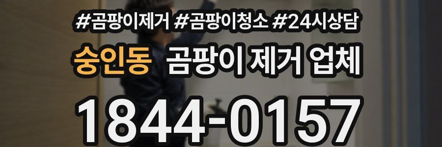 숭인동 곰팡이 제거 업체