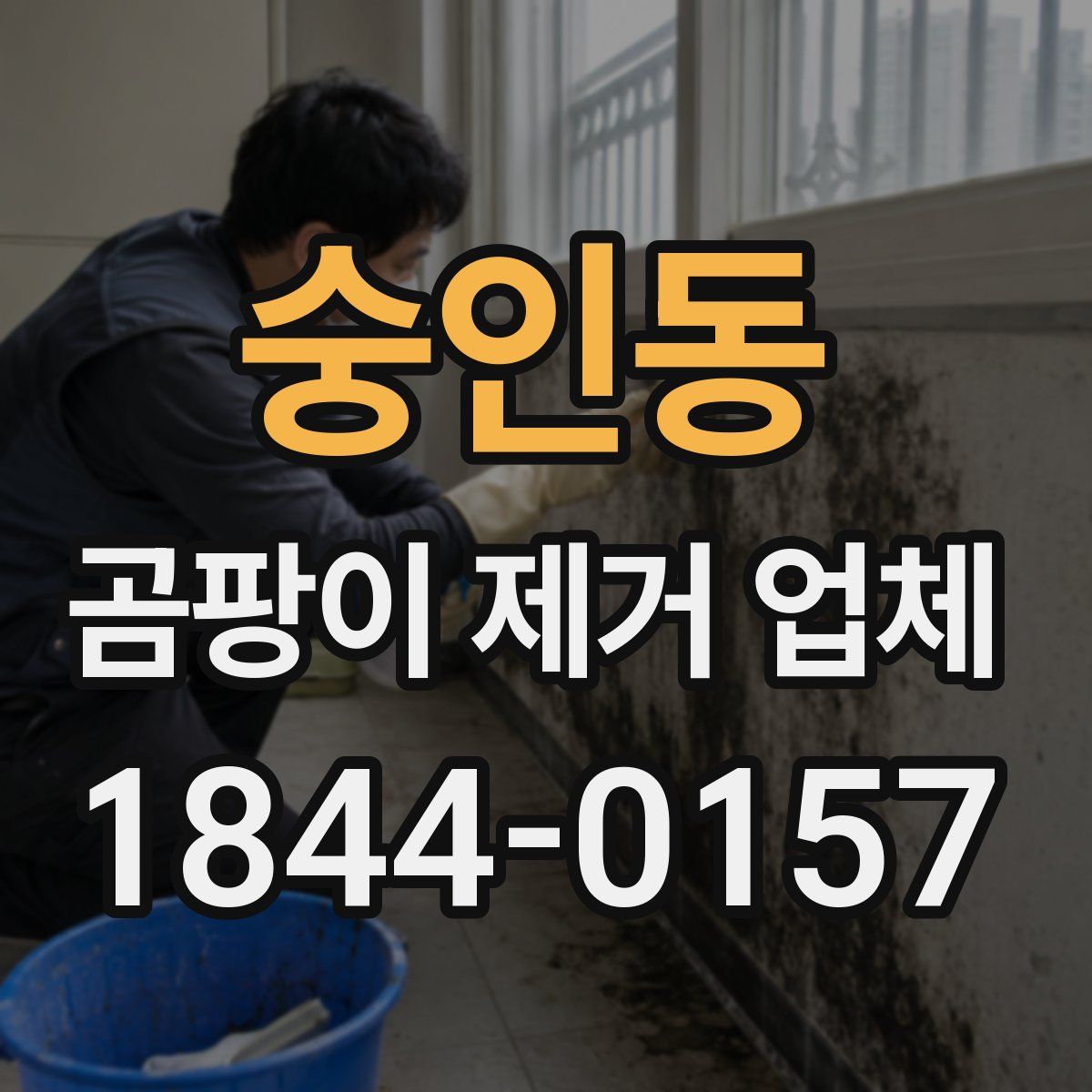숭인동 곰팡이 제거 업체