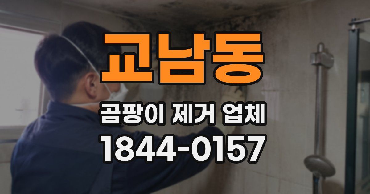 교남동 곰팡이 제거 업체