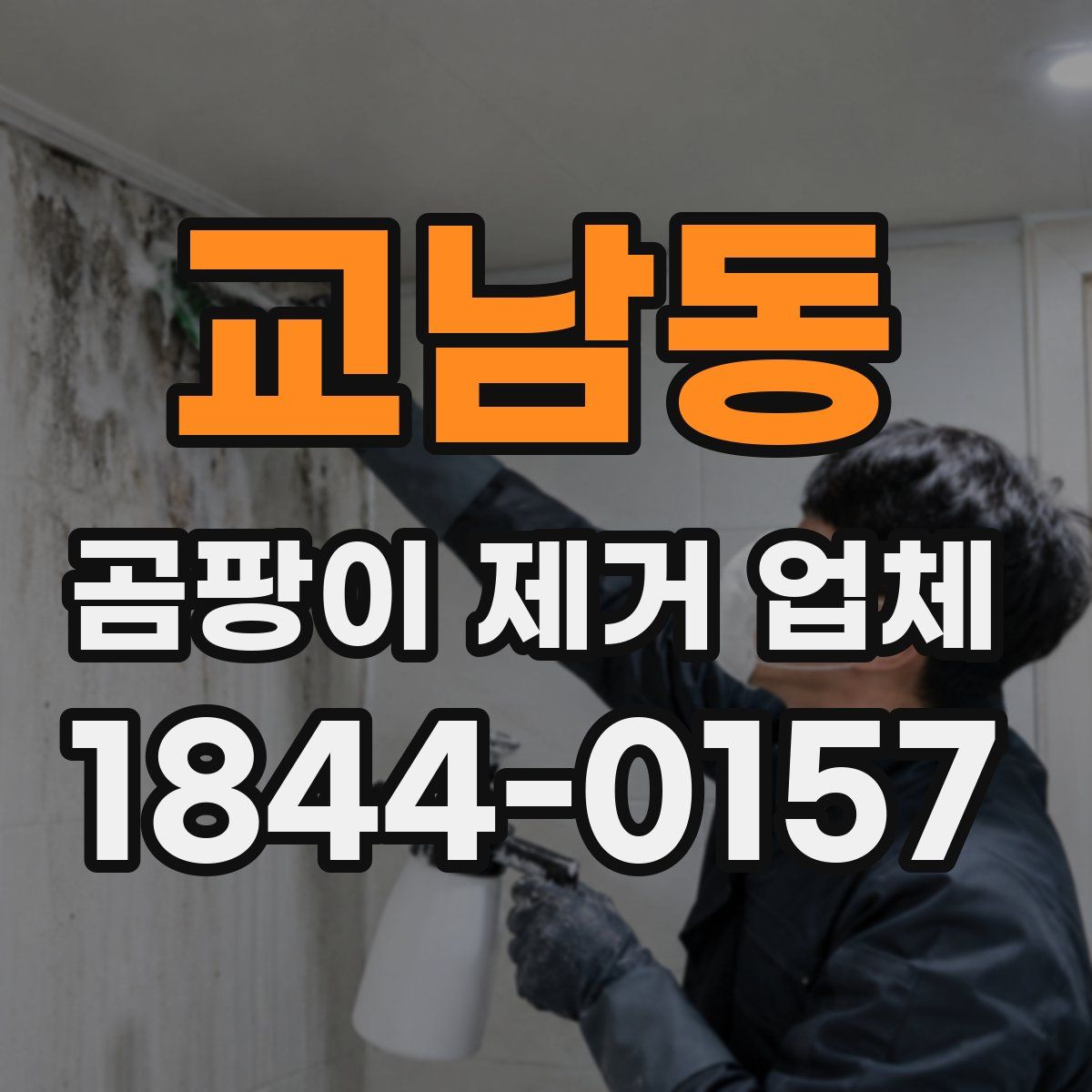 교남동 곰팡이 제거 업체