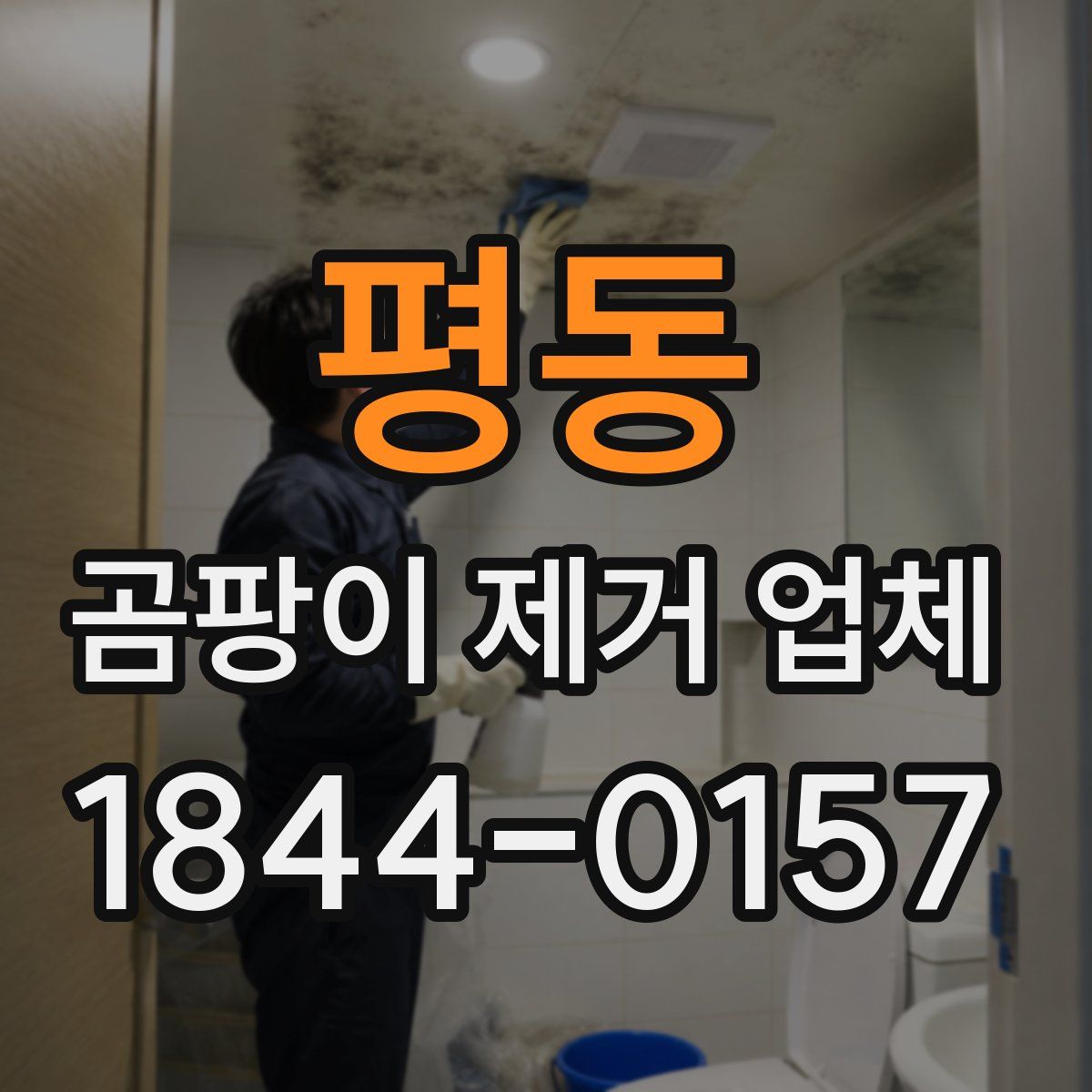 평동 곰팡이 제거 업체