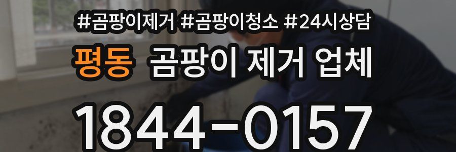 평동 곰팡이 제거 업체