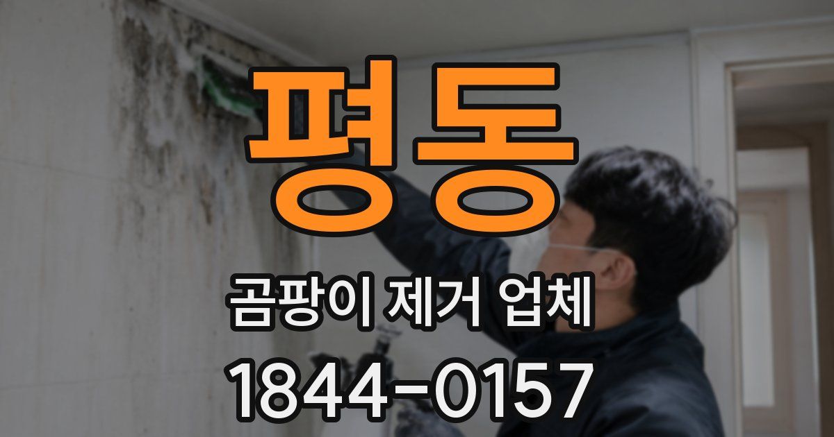 평동 곰팡이 제거 업체