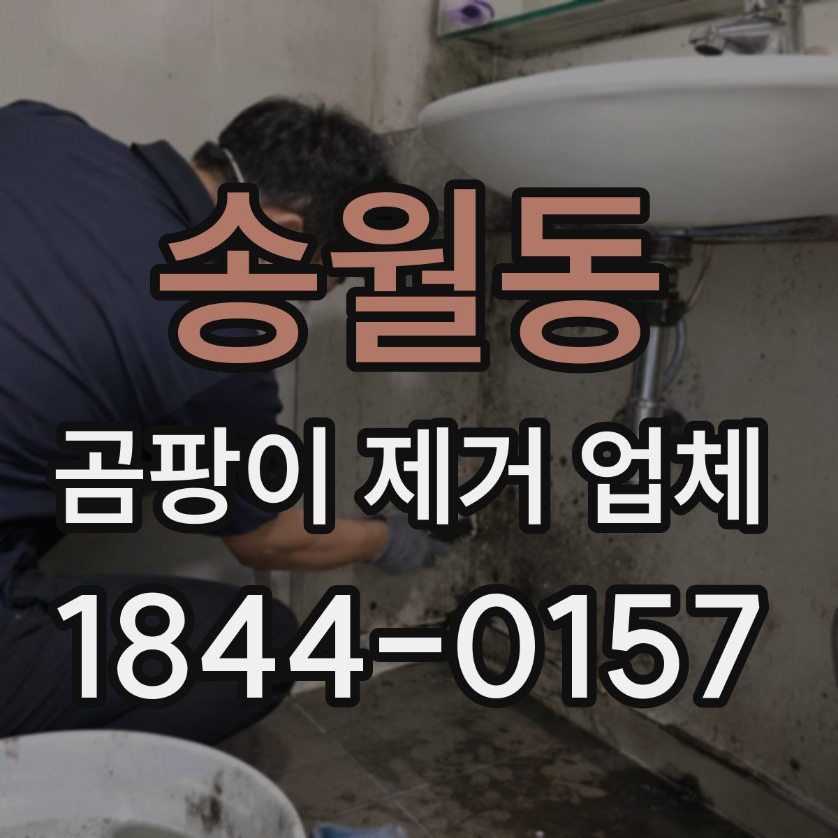 송월동 곰팡이 제거 업체