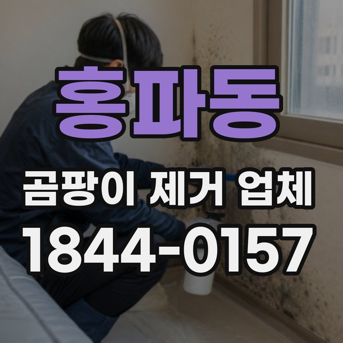 홍파동 곰팡이 제거 업체