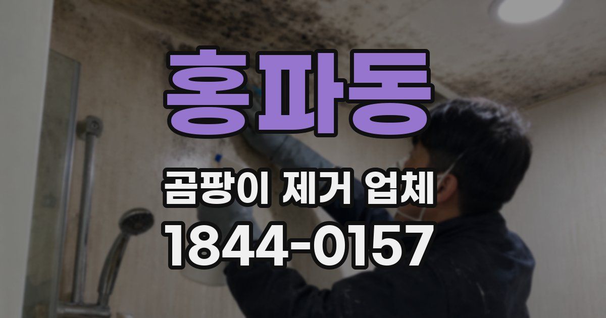 홍파동 곰팡이 제거 업체