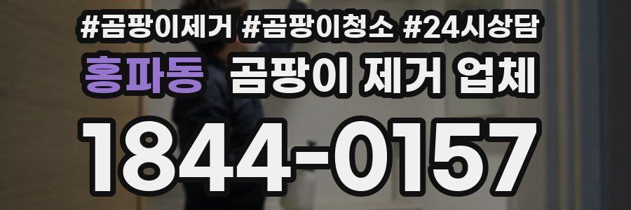 홍파동 곰팡이 제거 업체