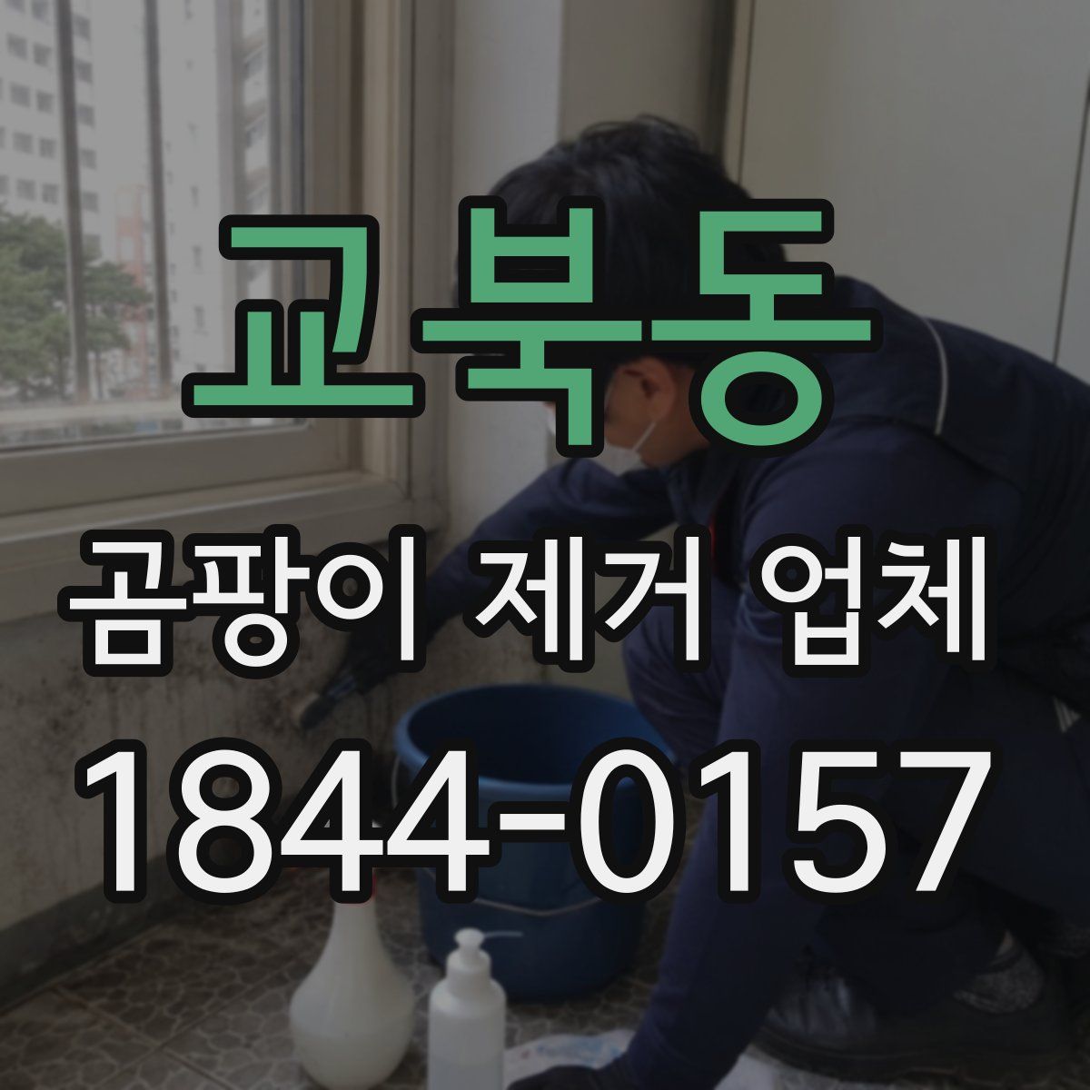 교북동 곰팡이 제거 업체