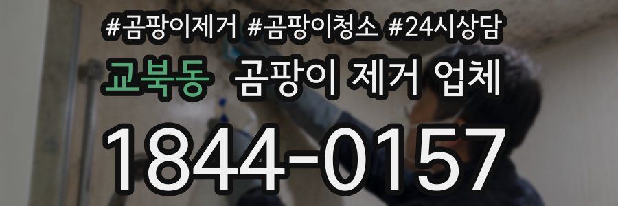 교북동 곰팡이 제거 업체