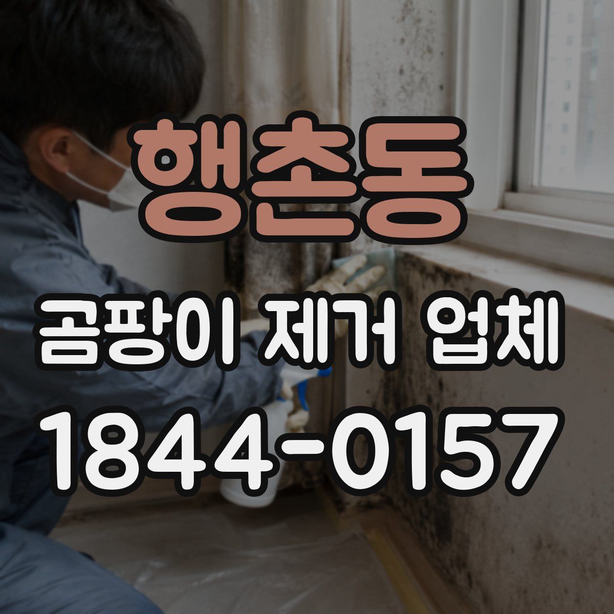 행촌동 곰팡이 제거 업체