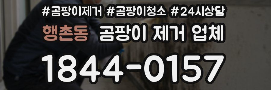 행촌동 곰팡이 제거 업체