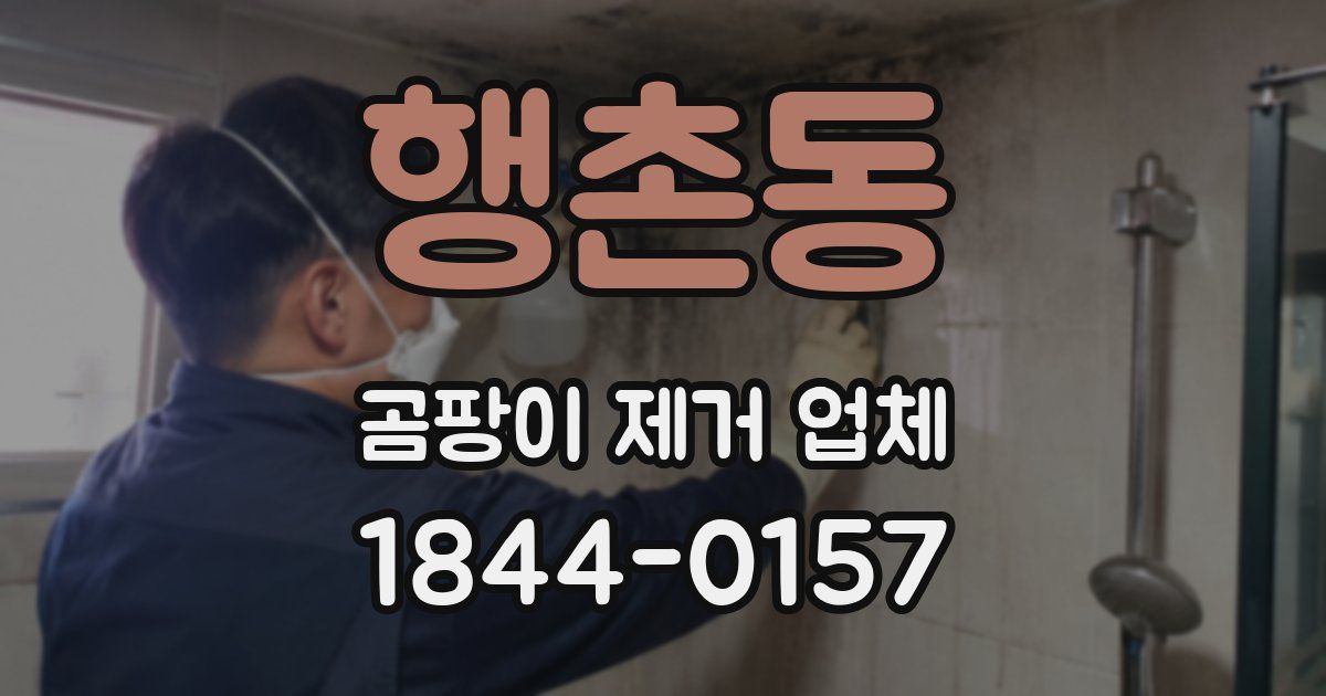 행촌동 곰팡이 제거 업체