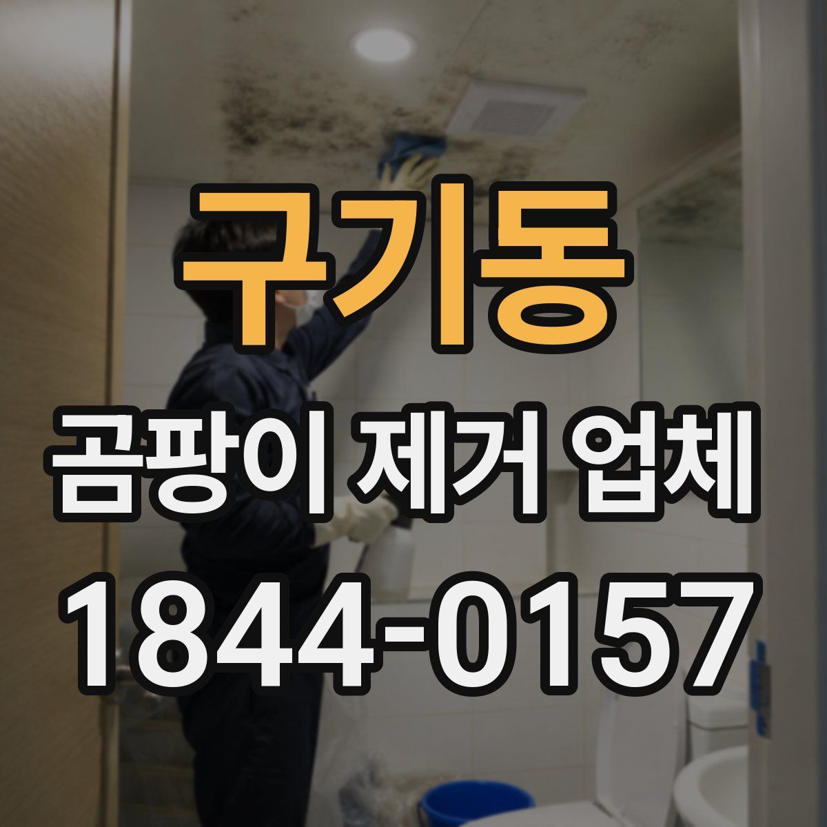 구기동 곰팡이 제거 업체
