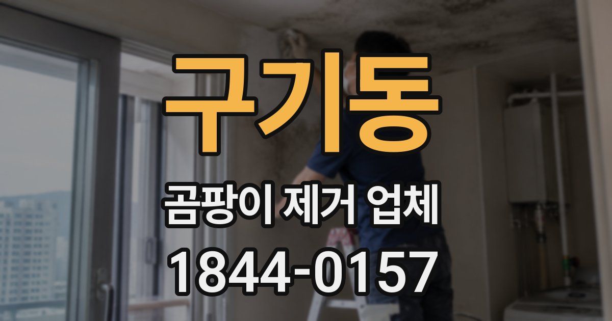 구기동 곰팡이 제거 업체
