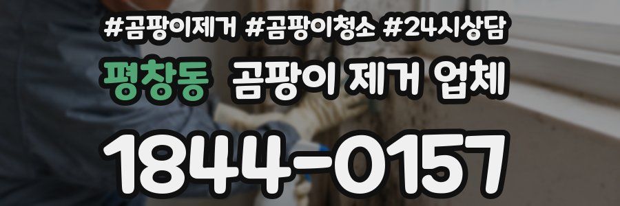 평창동 곰팡이 제거 업체