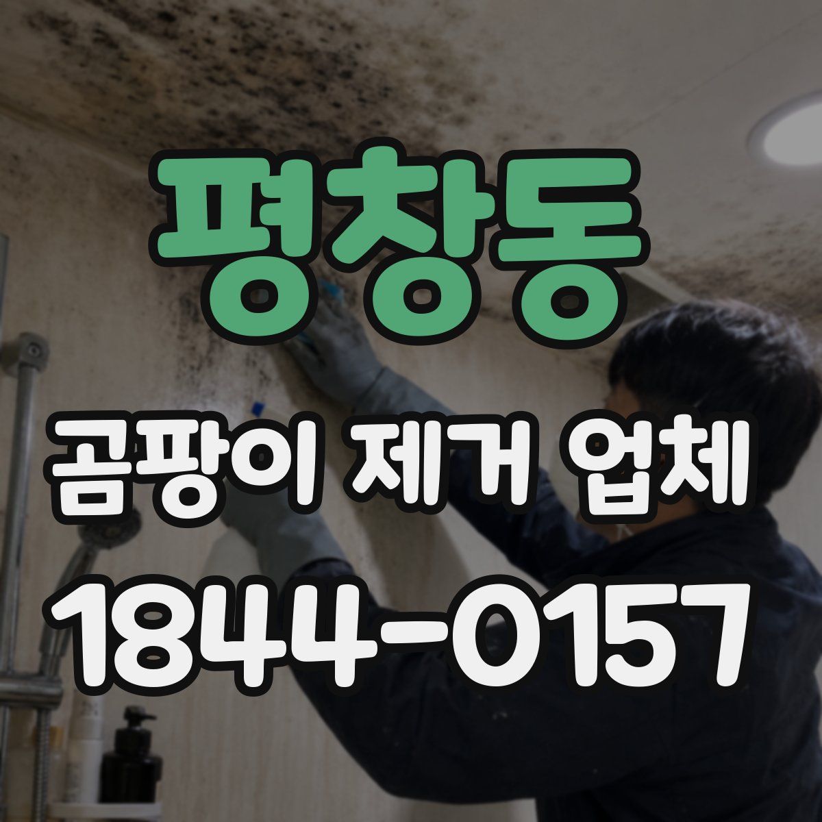 평창동 곰팡이 제거 업체