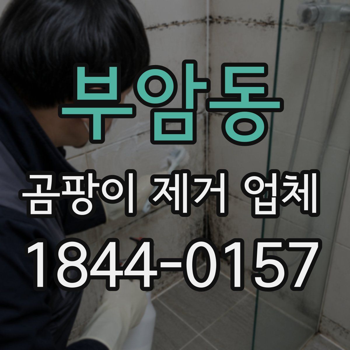 부암동 곰팡이 제거 업체