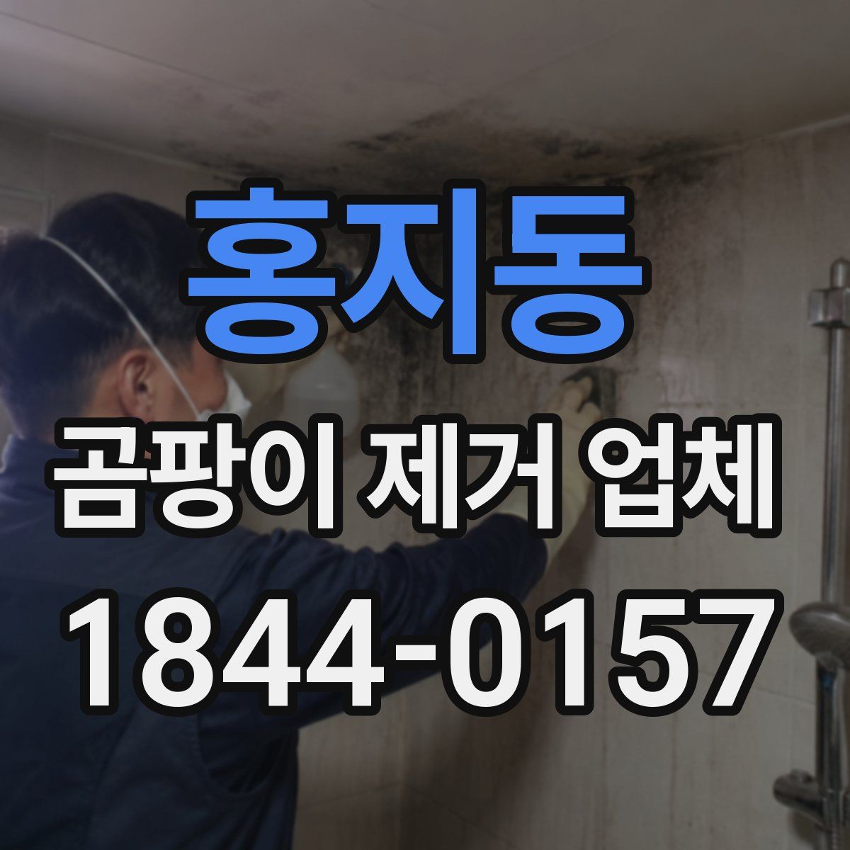 홍지동 곰팡이 제거 업체