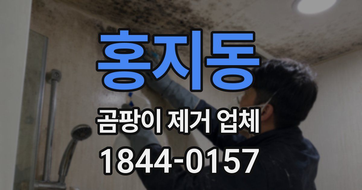 홍지동 곰팡이 제거 업체