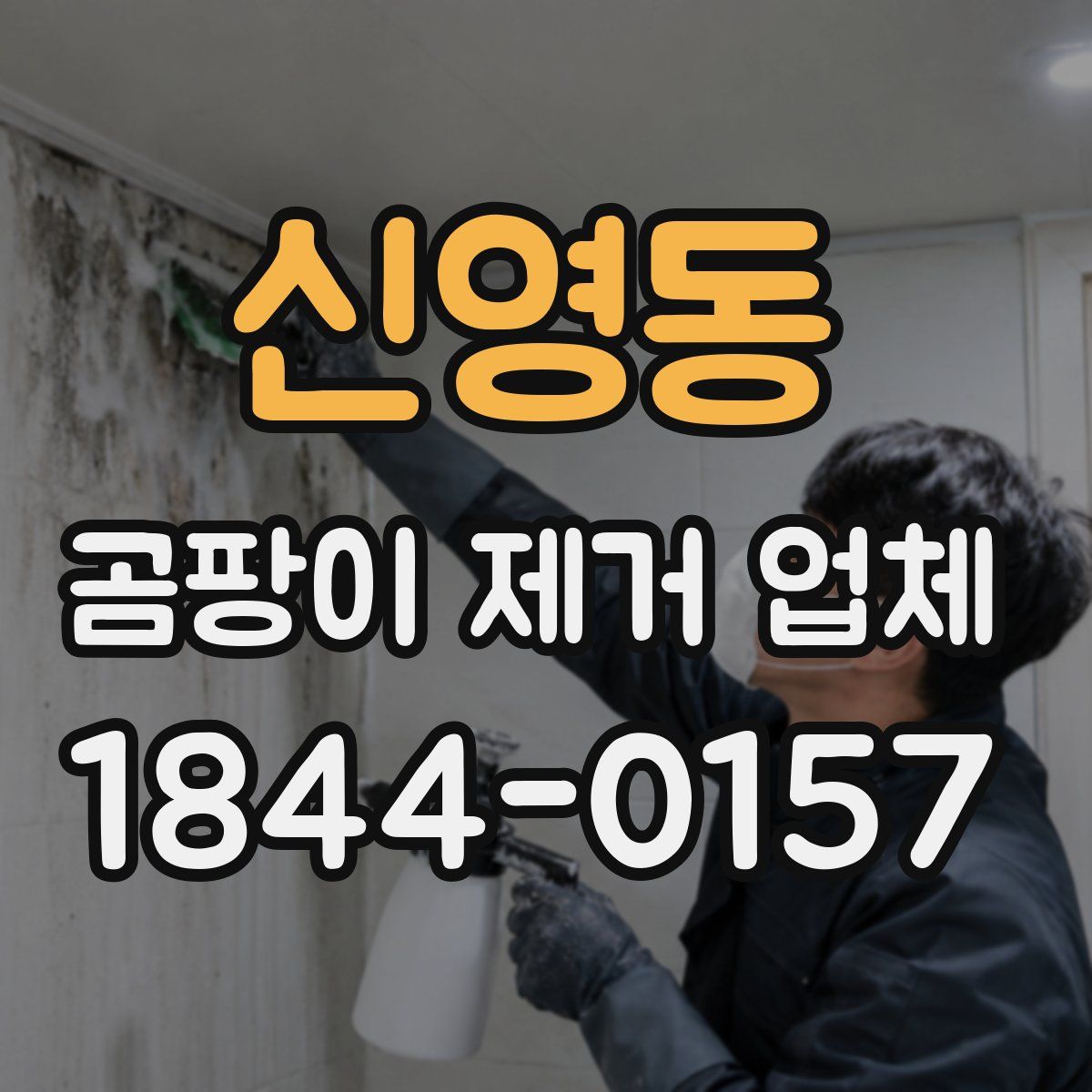신영동 곰팡이 제거 업체