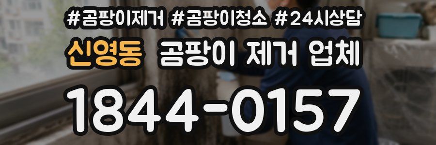 신영동 곰팡이 제거 업체