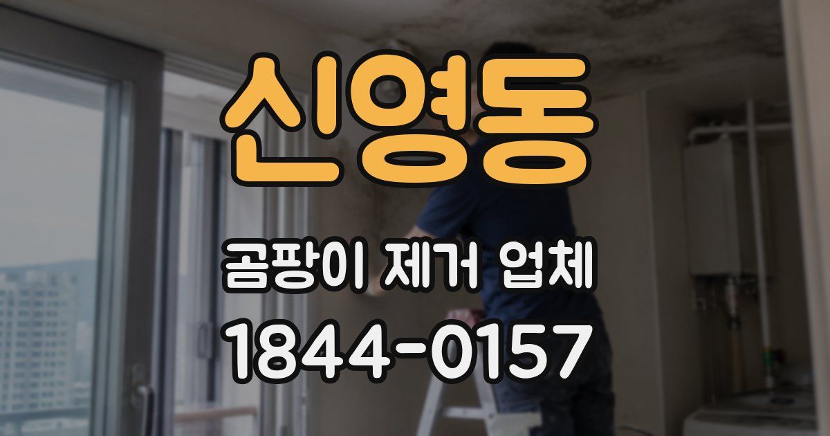 신영동 곰팡이 제거 업체