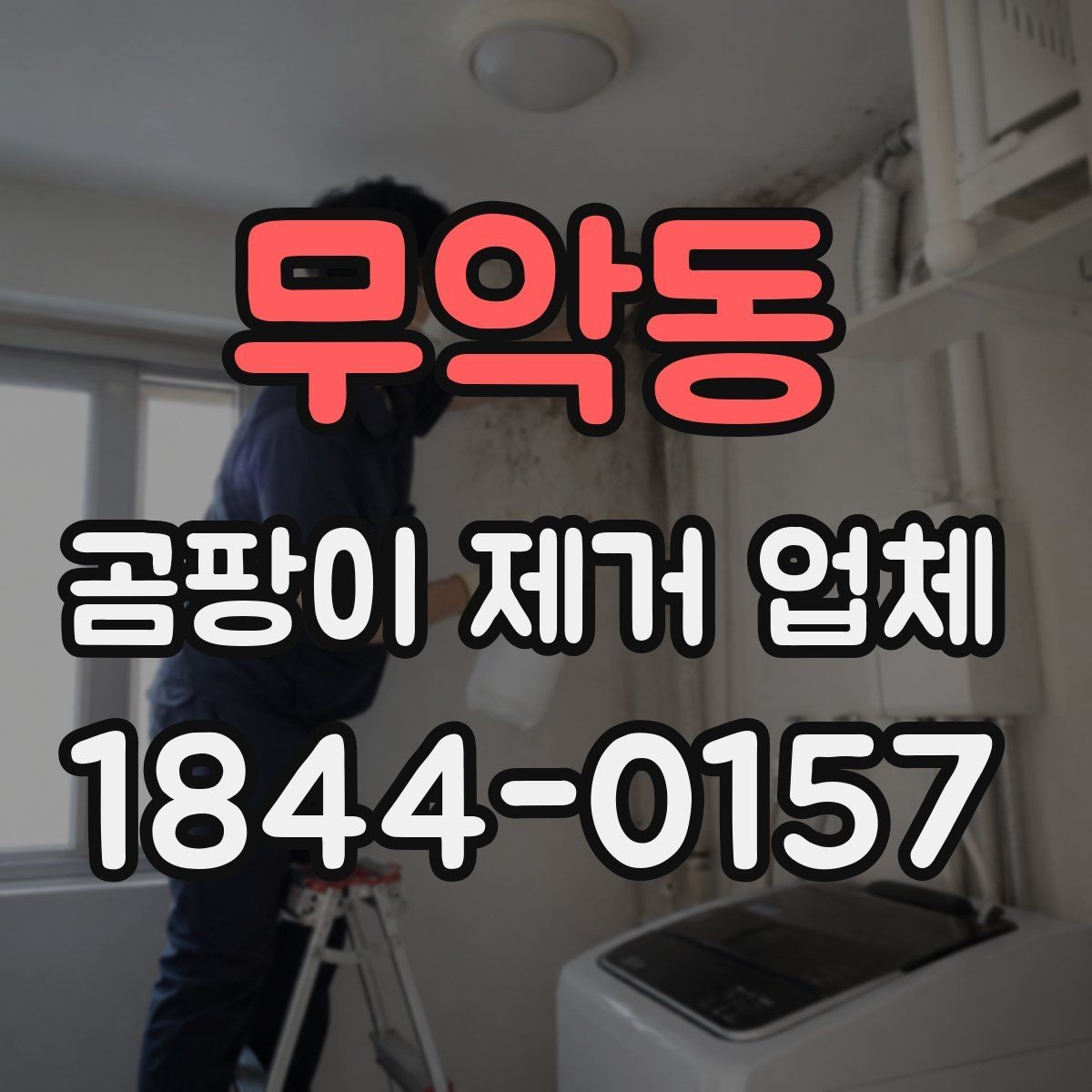 무악동 곰팡이 제거 업체 눈에 보이는 곰팡이만 지우면 안 되는 이유