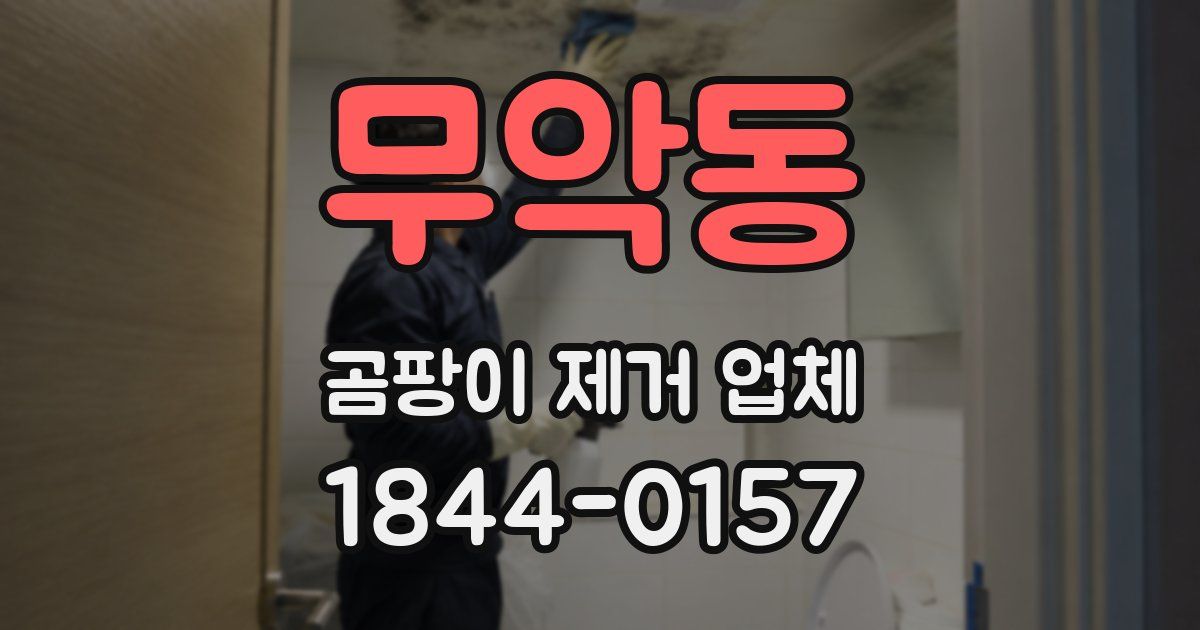 무악동 곰팡이 제거 업체