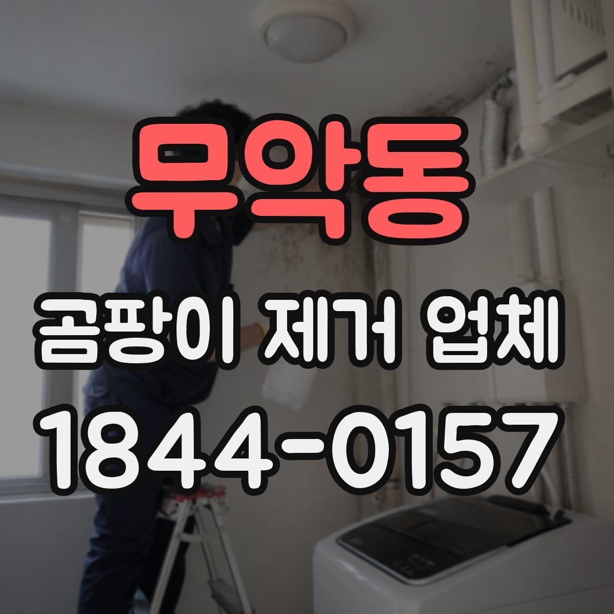 무악동 곰팡이 제거 업체