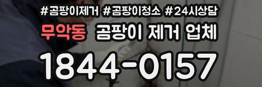 무악동 곰팡이 제거 업체