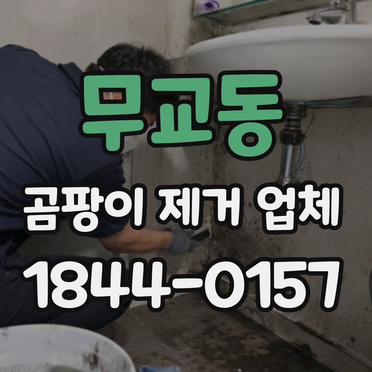 무교동 곰팡이 제거 업체